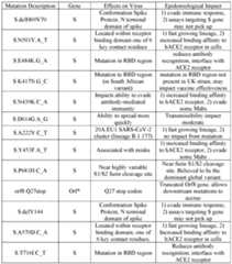 Figure imgf000013_0001