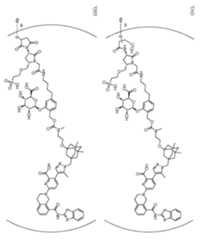 Figure imgf000023_0001