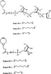 Figure imgf000096_0002
