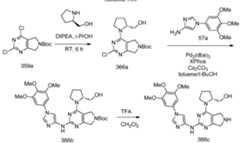 Figure imgf000454_0001