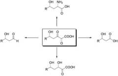 Figure BDA00001702702401202