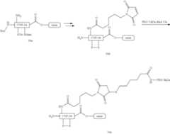 Figure US10835578-20201117-C00178