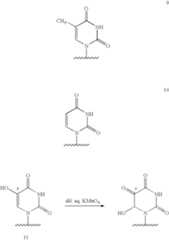 Figure US06825009-20041130-C00056