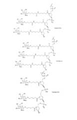 Figure imgf000167_0001