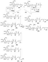 Figure BDA0002550837380000441