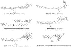 Figure BDA0003376679440000021