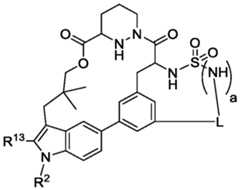 Figure imgf000107_0001