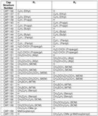 Figure imgf000035_0002