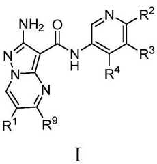 Figure BDA0001412716210000031