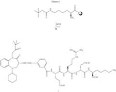 Figure US10080805-20180925-C00093