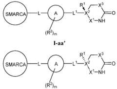 Figure imgf000036_0001