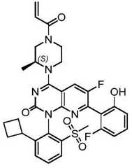 Figure BDA0002861043520000822