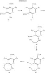 Figure US07420059-20080902-C00100