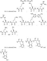 Figure imgf000044_0001