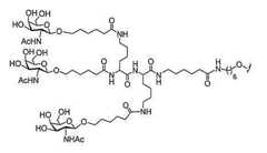 Figure 2023012548000913