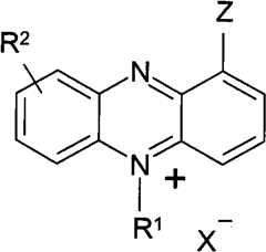 Figure BPA00001263293900081