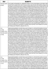 Figure BDA0003627552160000981