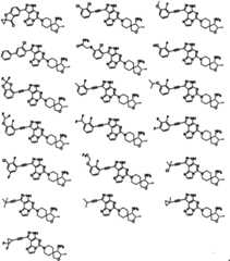 Figure FSA0000197904790000051