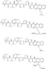 Figure imgf000046_0001