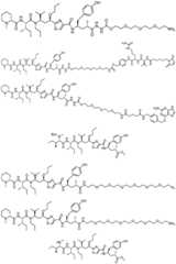 Figure BDA0001120556480000311