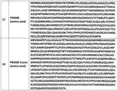 Figure imgf000042_0001
