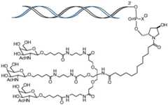 Figure BDA0001578122210000062