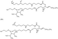 Figure imgf000006_0001