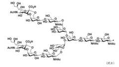 Figure JPOXMLDOC01-appb-C000036