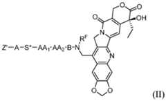 Figure imgf000009_0001
