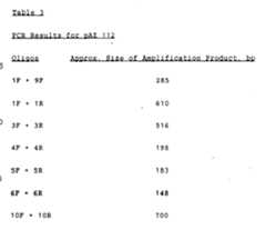Figure imgf000019_0001