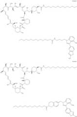 Figure US11364300-20220621-C00322