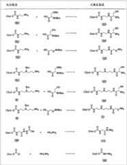 Figure A0282447100341