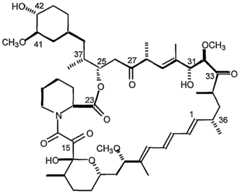 Figure imgf000003_0001