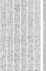 Figure IPA0000293710130000101