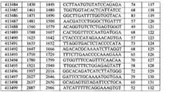 Figure BPA00001388922800461