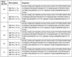 Figure imgf000042_0002