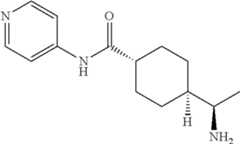 Figure US12173324-20241224-C00004