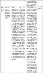 Figure BDA0004033970230006901