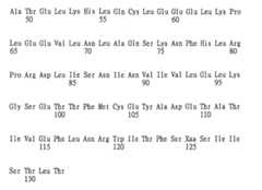 Figure 109130857-A0202-12-0536-941