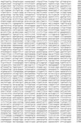 Figure IDA0002536600790001141