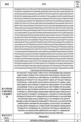 Figure BDA0002480009020001411