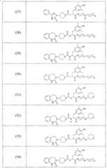 Figure A2006800095860014C1