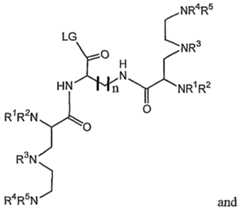 Figure imgf000013_0001