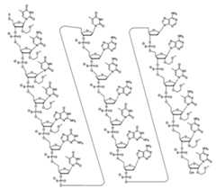 Figure 2023113843000115