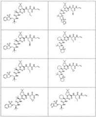 Figure imgf000263_0001