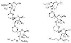 Figure imgf000109_0002
