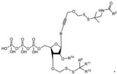 Figure BDA0003670511740001802