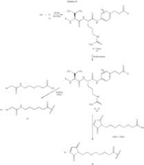 Figure US07829531-20101109-C00166