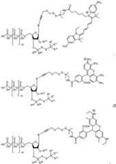 Figure BDA0003670511740001461