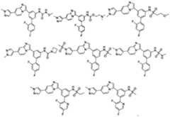 Figure PCTCN2019130053-appb-100027
